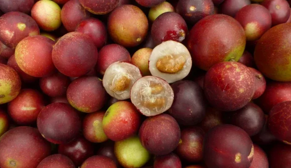 Superfruits + Berries