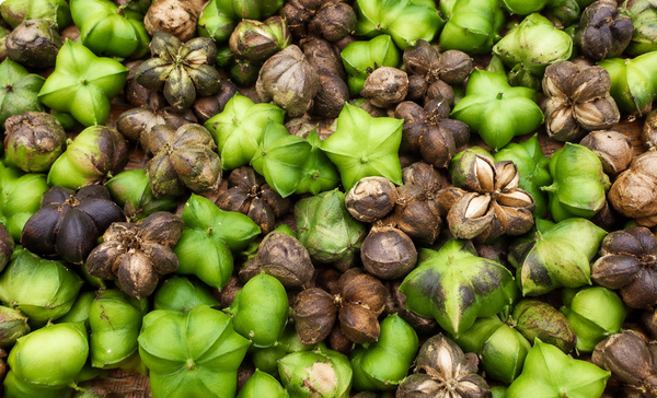 Complete Plant Protein